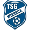 Wieseck U19