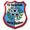 Horni Slavkov