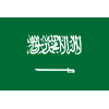 Saudi Arabia Logo
