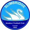 Slimbridge (Eng)
