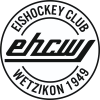 Wetzikon (Sui)