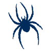 Richmond Spiders