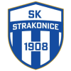 SK Strakonice 1908