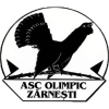 Olimpic Zarnesti