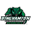 Бингхэмтон