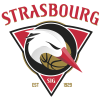 Boston Bruins