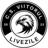Viitorul Livezile *