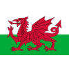 Wales U16