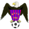 Balatoni Vasas