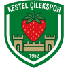 Kestel Cilekspor